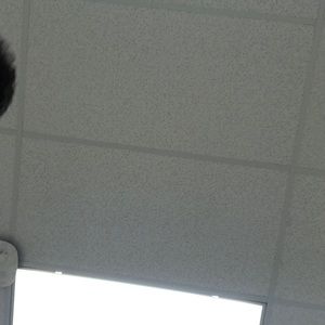 Meet your Posher, Parker